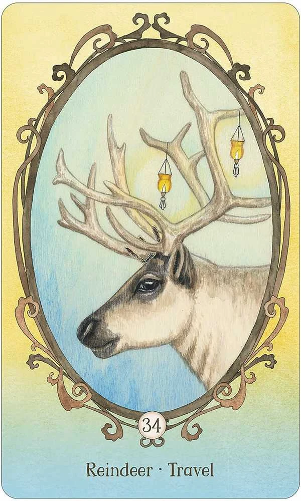 US Games Systems Wing, Hoof And Paw: An Animal Companion Oracle Kortos