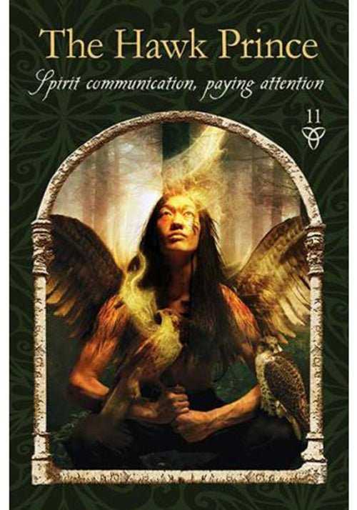 Hay House Wisdom Of The Hidden Realms Oracle Kortos