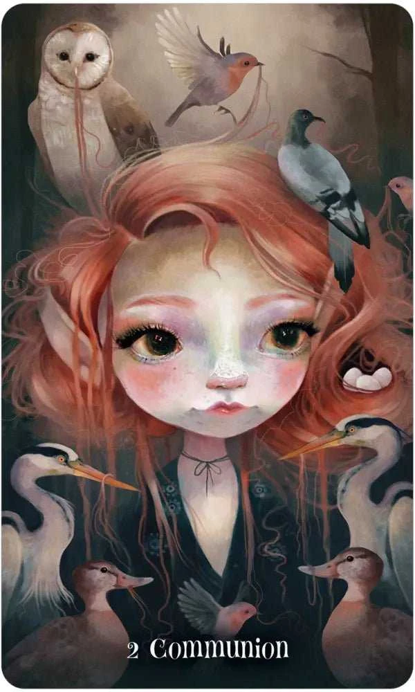 US Games Systems Wisdom Of The Wild Things Orakulo Kortos
