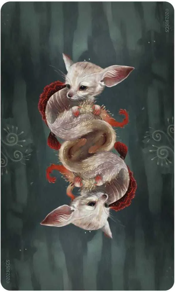 US Games Systems Wisdom Of The Wild Things Orakulo Kortos