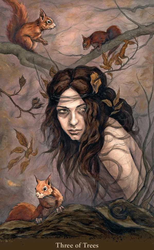 KNYGA Llewellyn Witch Sister Taro Kortos