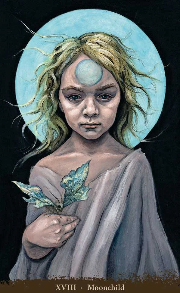 KNYGA Llewellyn Witch Sister Taro Kortos