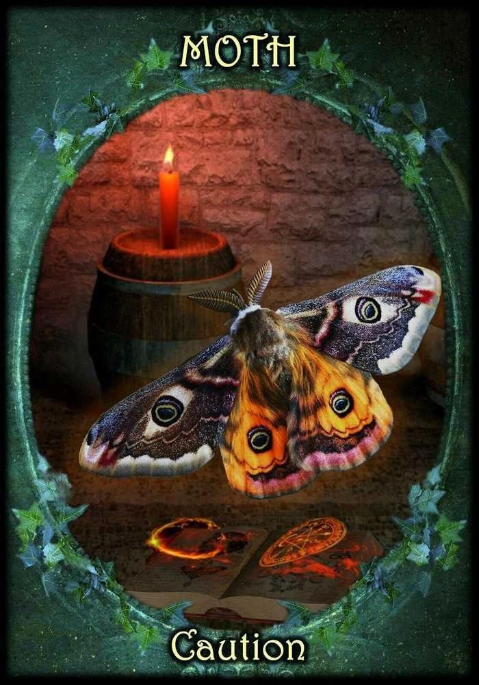 Solarus Witches Familiars Oracle Kortos