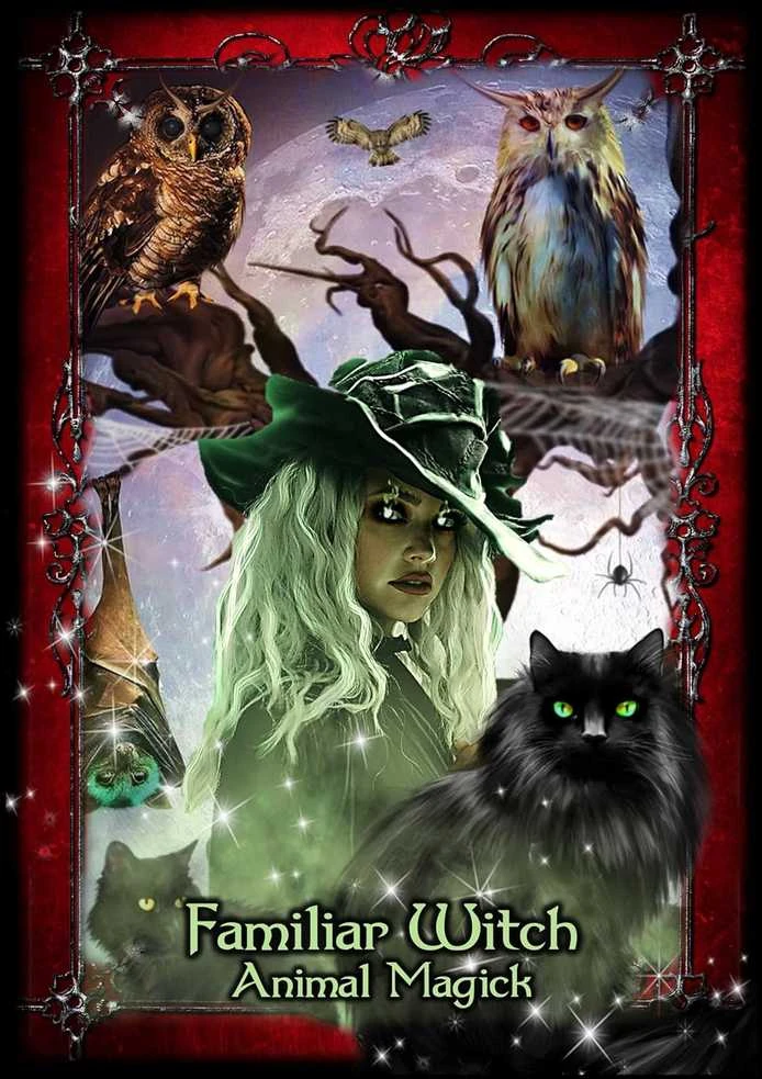 Solarus Orakulo kortų rinkinys - Witches of the Craft, 48 Kortos ir Gidas