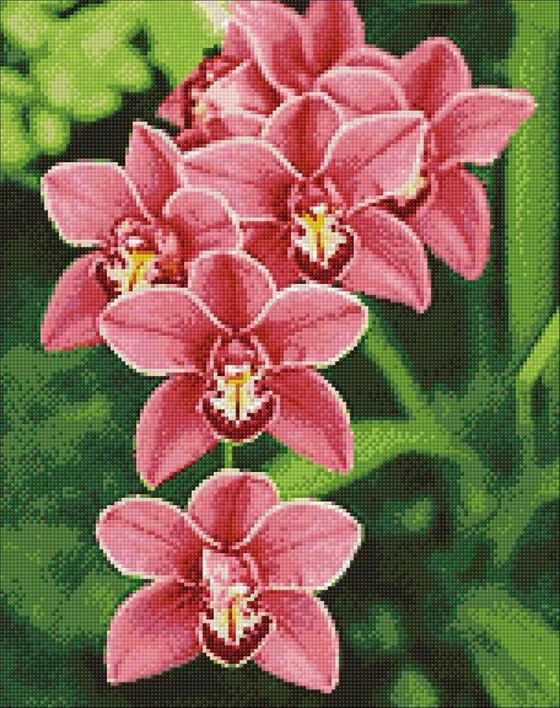 Wizardi Deimantinis paveikslas Cimbidium WD033 38*48 cm