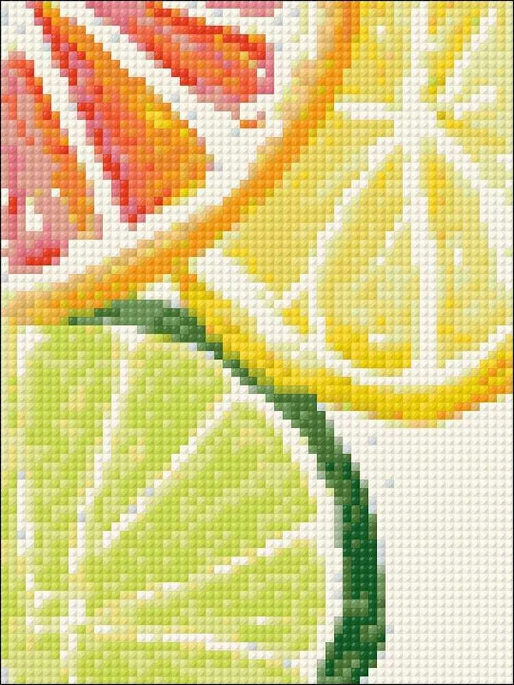 Wizardi Deimantinis paveikslas Citrus Fresh WD281 15*20 cm