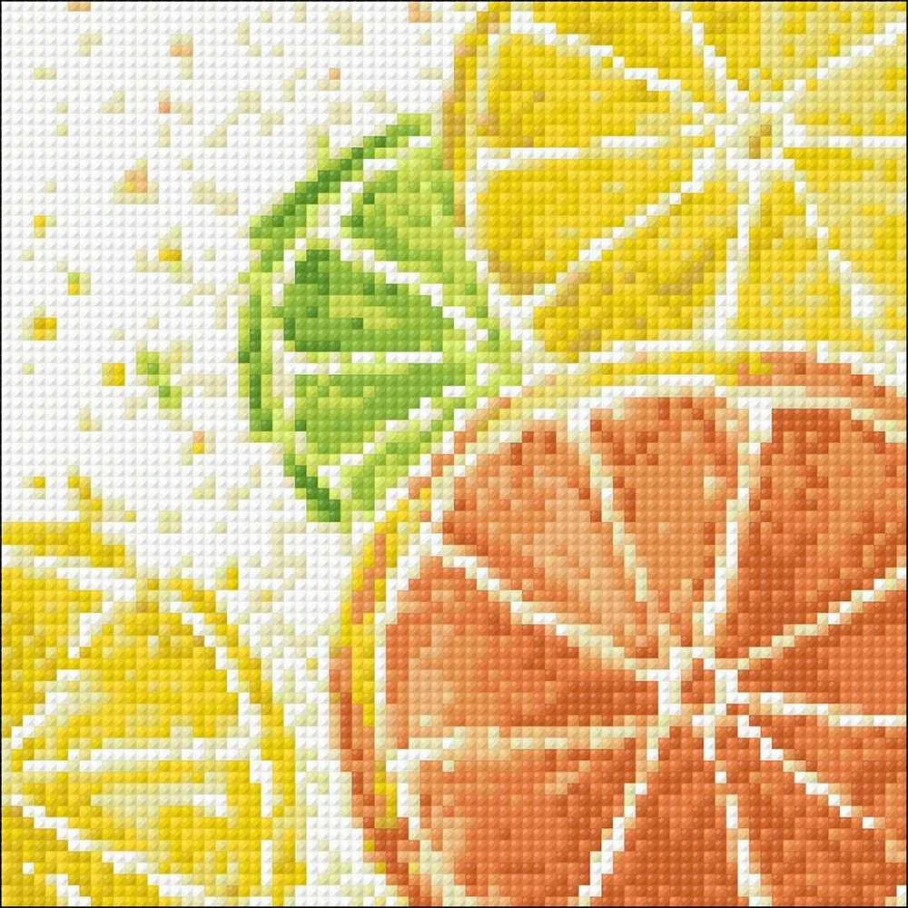 Wizardi Deimantinis paveikslas Citrus Mix WD289 20*20 cm