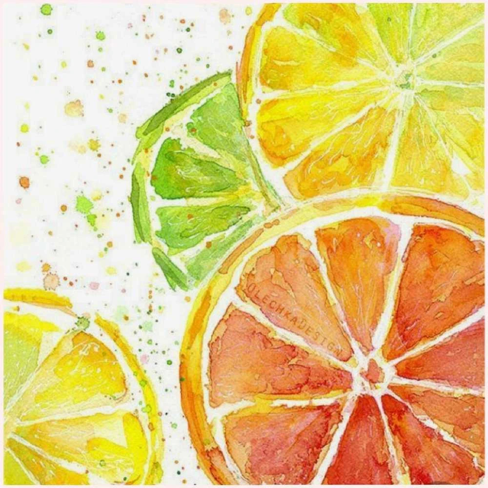 Wizardi Deimantinis paveikslas Citrus Mix WD289 20*20 cm