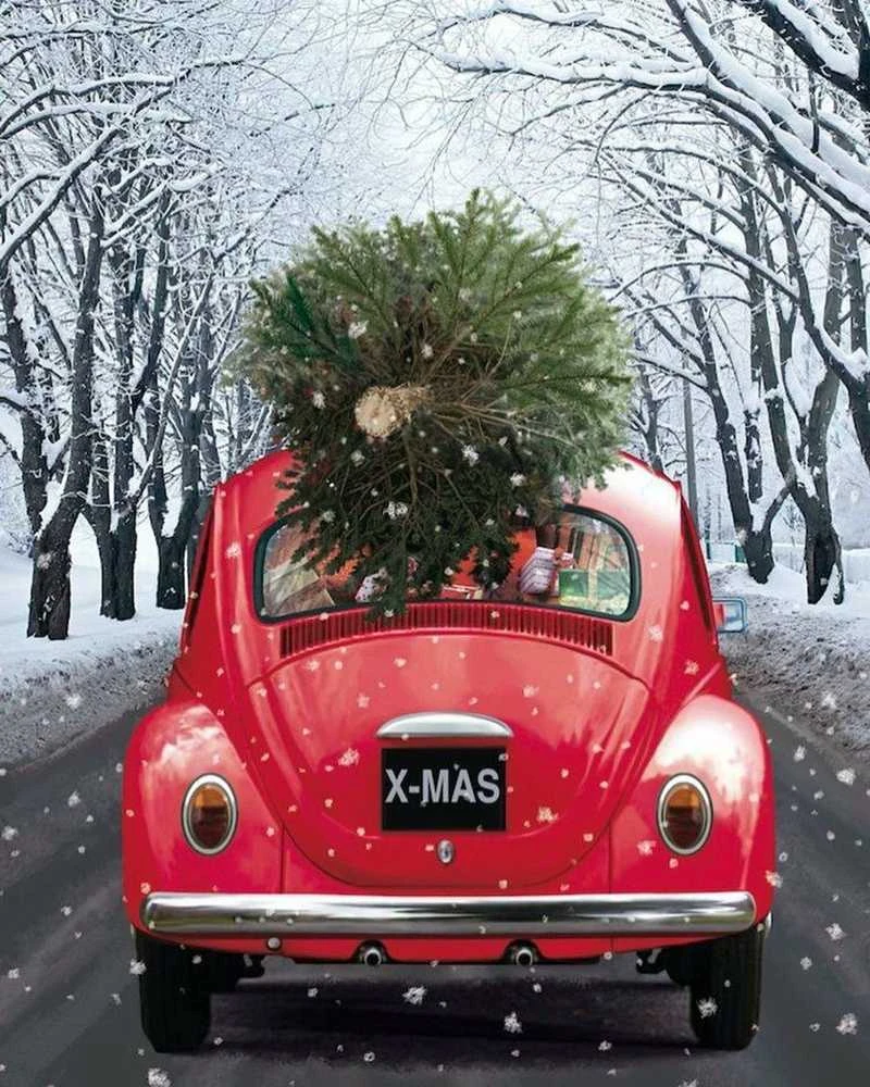 Wizardi Deimantinis paveikslas Holiday On Its Way WD2442