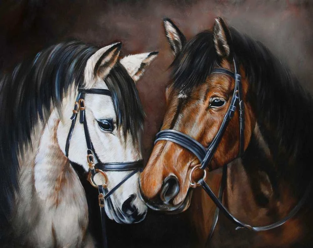 Wizardi Deimantinis paveikslas Horse Tenderness 48X38cm WD2469