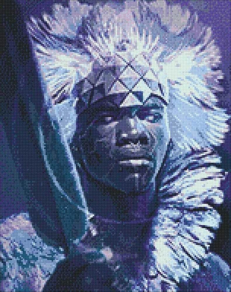 Wizardi Deimantinis paveikslas King of Africa WD144 38*48 cm