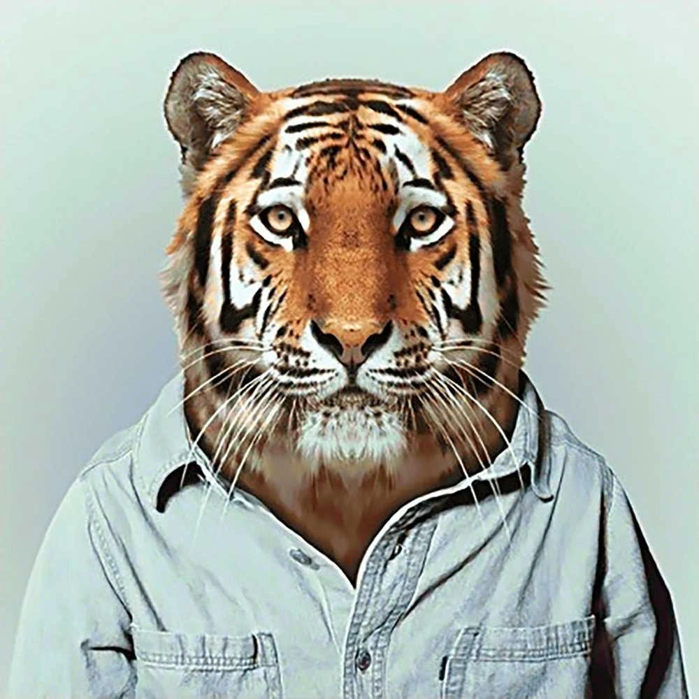 Wizardi Deimantinis paveikslas Mr Tiger WD258 38*38 cm