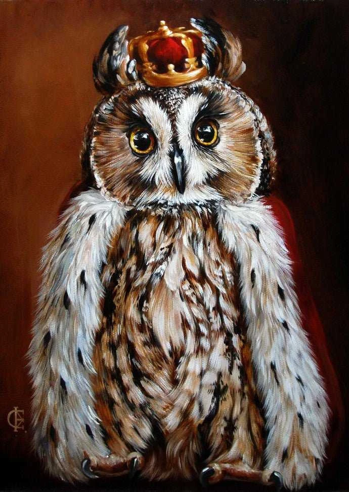 Wizardi Deimantinis paveikslas Owl King WD2468