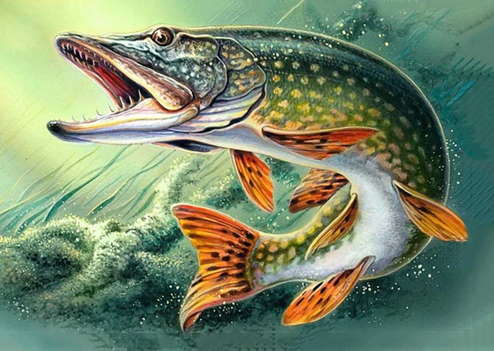 Wizardi Deimantinis paveikslas Pike WD225 38*27 cm