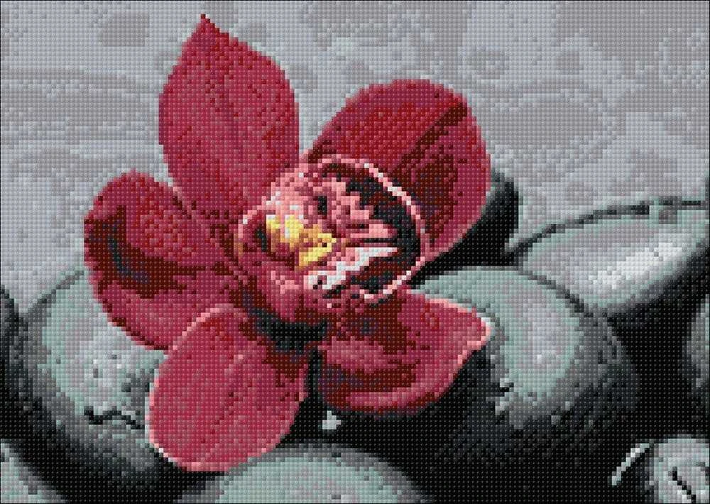 Nuotraukų rėmelis Wizardi Deimantinis paveikslas Royal Orchid WD036 38*27 cm