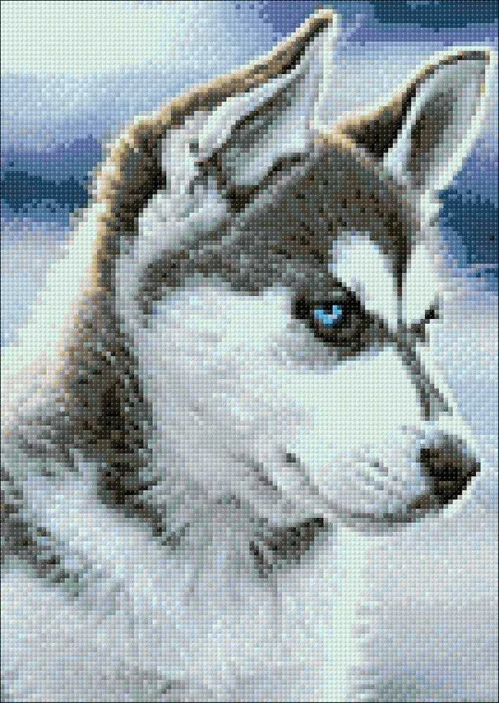 Wizardi Deimantinis paveikslas Snow Dog WD088 27*38 cm