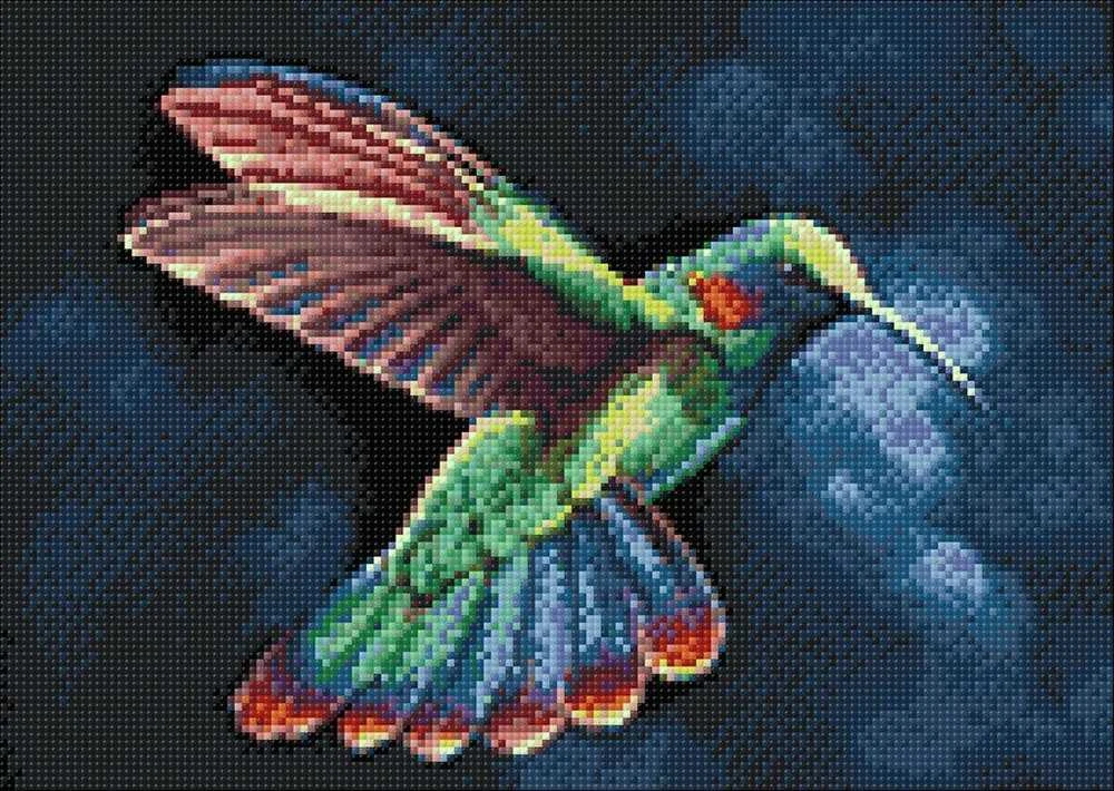 Wizardi Deimantinis paveikslas Tropic Bird WD058 38*27 cm