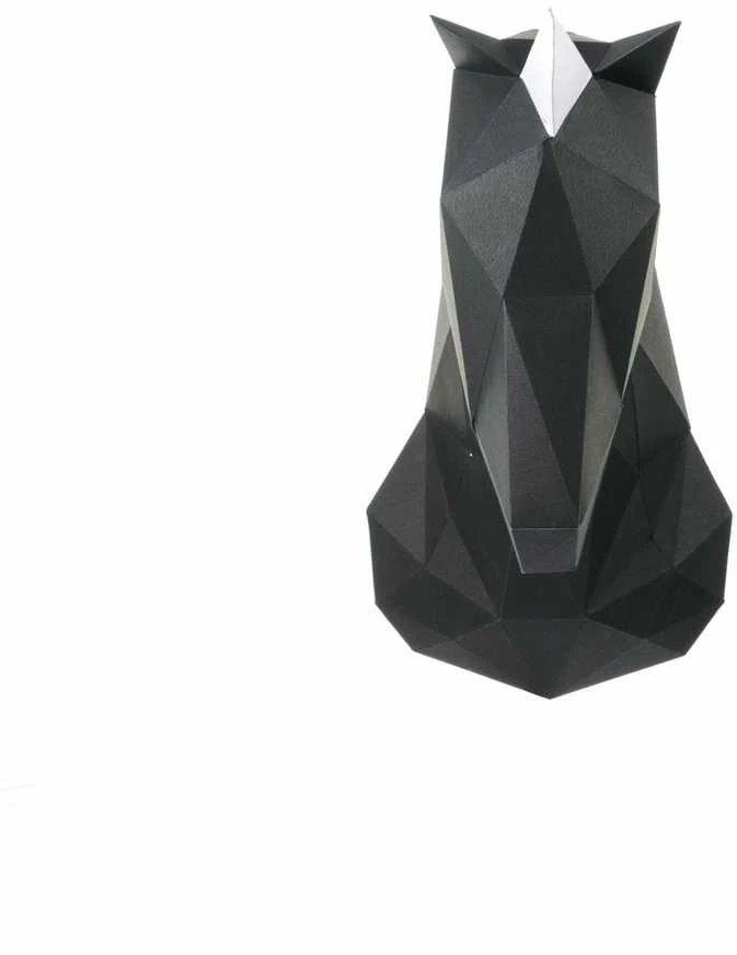 Beldizart Wizardi 3D popieriaus lankstymo rinkinys Vienaragis PP-1EDV-BLA