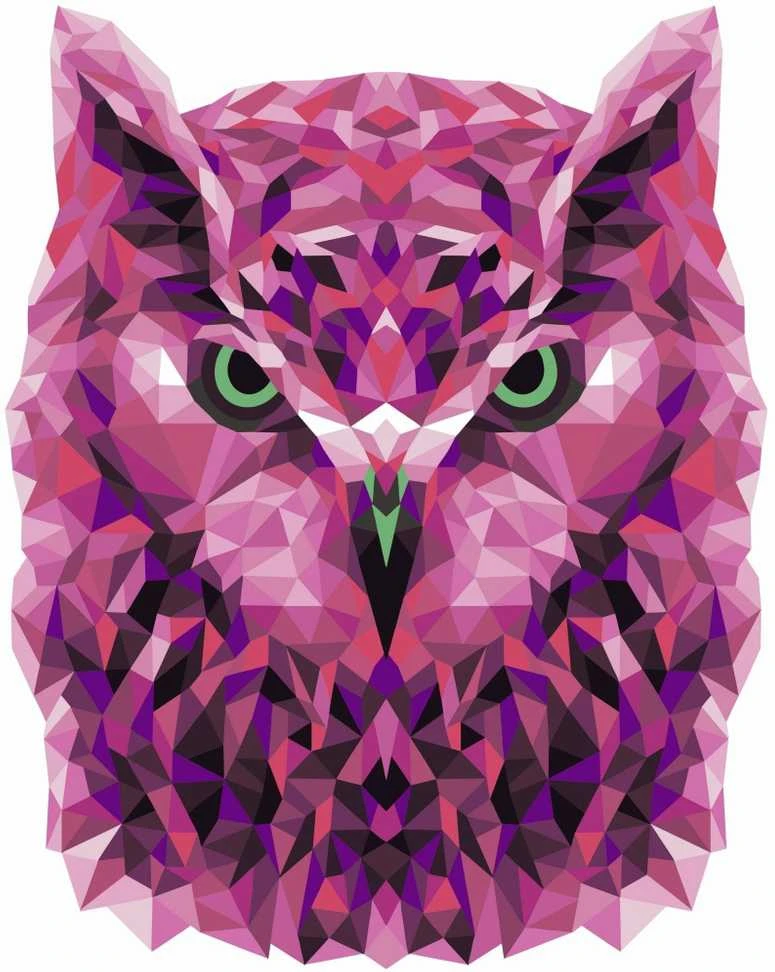 Wizardi Tapybos pagal skaičius rinkinys: P002 Owl (polygon style) 40*50