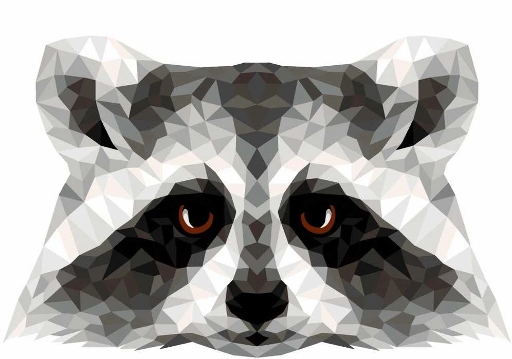 Wizardi Tapybos pagal skaičius rinkinys: P006 Raccoon (polygon style) 40*50