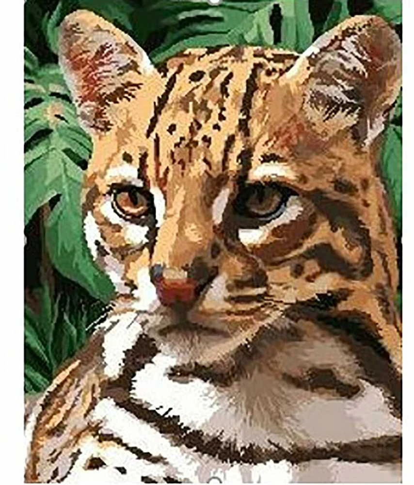 Wizardi Beldizart Dailininko rinkinys 40x50 cm H152