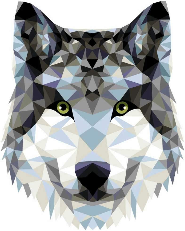 Wizardi Tapybos pagal skaičius rinkinys: P004 Wolf (polygonal style) 40*50