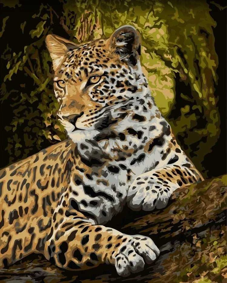 Wizardi Tapybos pagal skaičius rinkinys: Honorable gaze 40x50 cm H159
