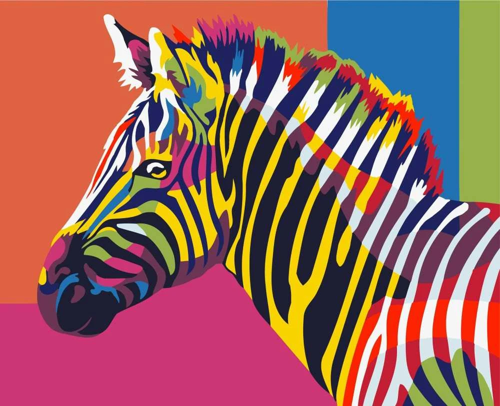 Wizardi Tapybos pagal skaičius rinkinys: Rainbow Zebra 16.5x13 cm MINI006