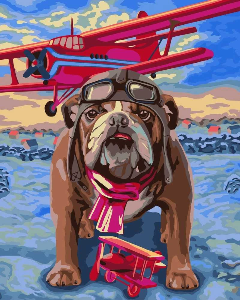 Wizardi Tapybos Pagal Skaičius Rinkinys - Pilot 40x50 cm H064