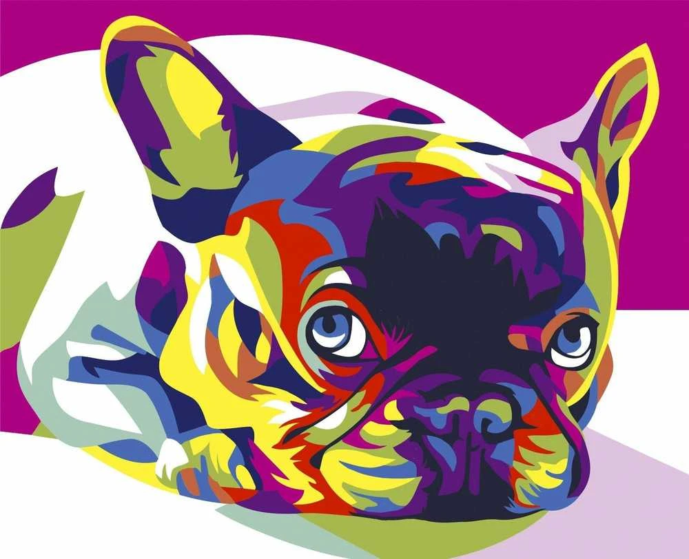 Wizardi Tapybos pagal skaičius rinkinys: French Bulldog 16.5x13 cm MINI017
