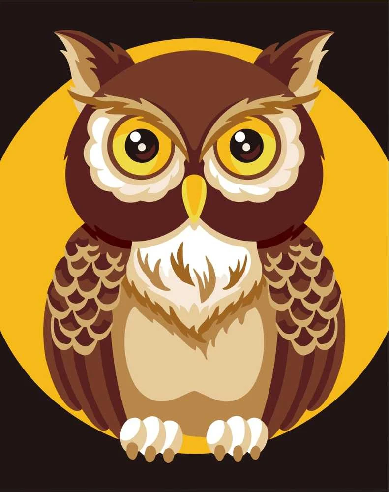 Wizardi Tapybos pagal skaičius rinkinys: Owl 16.5x13 cm MINI015