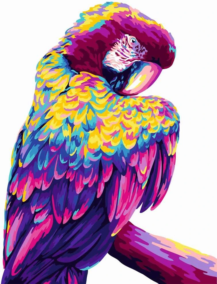Wizardi Tapybos pagal skaičius rinkinys: H140 Parrot Pop Art 40*50