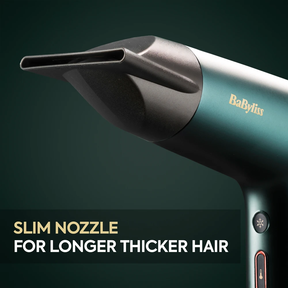 Plaukų džiovintuvas Babyliss D6555DE