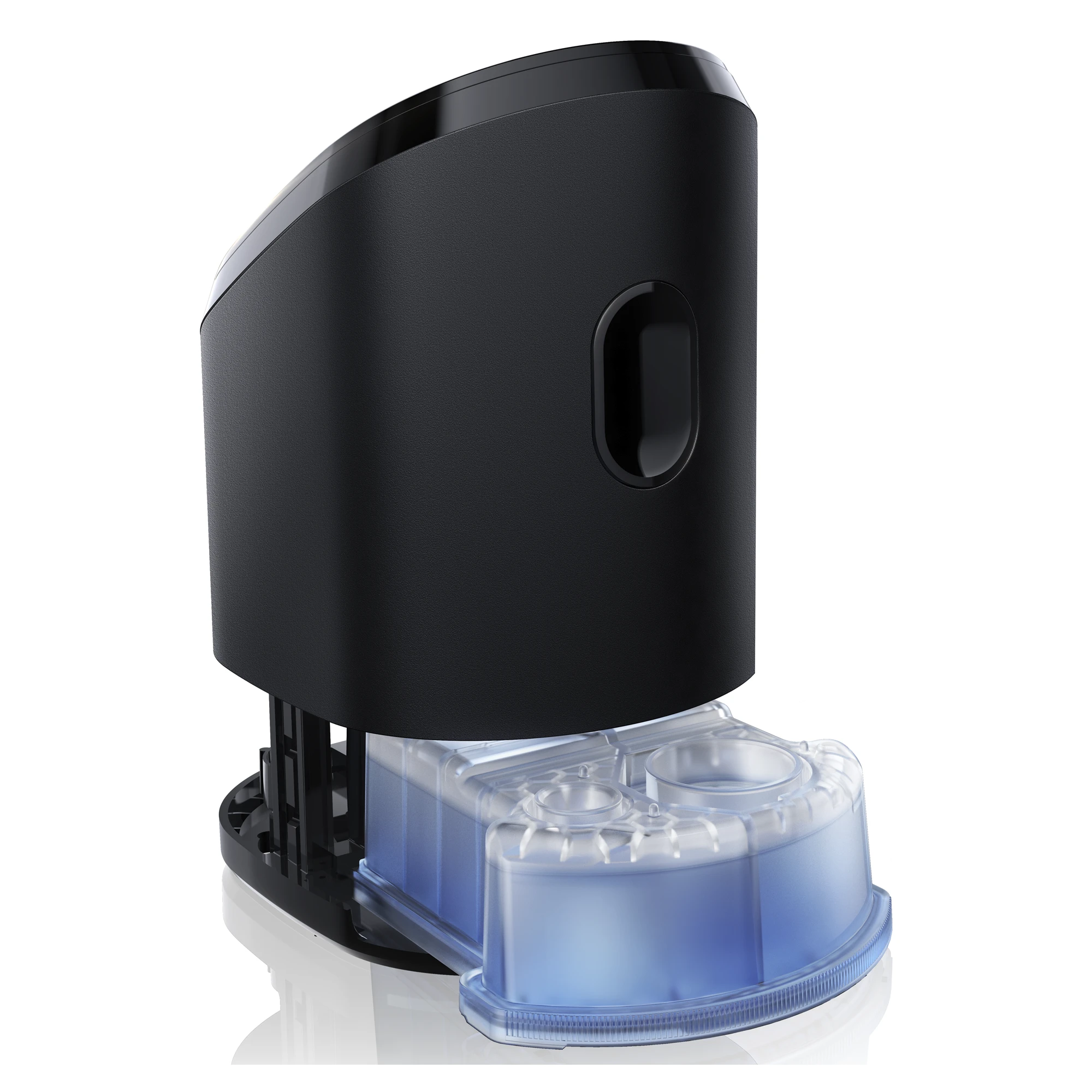 Braun CCR4