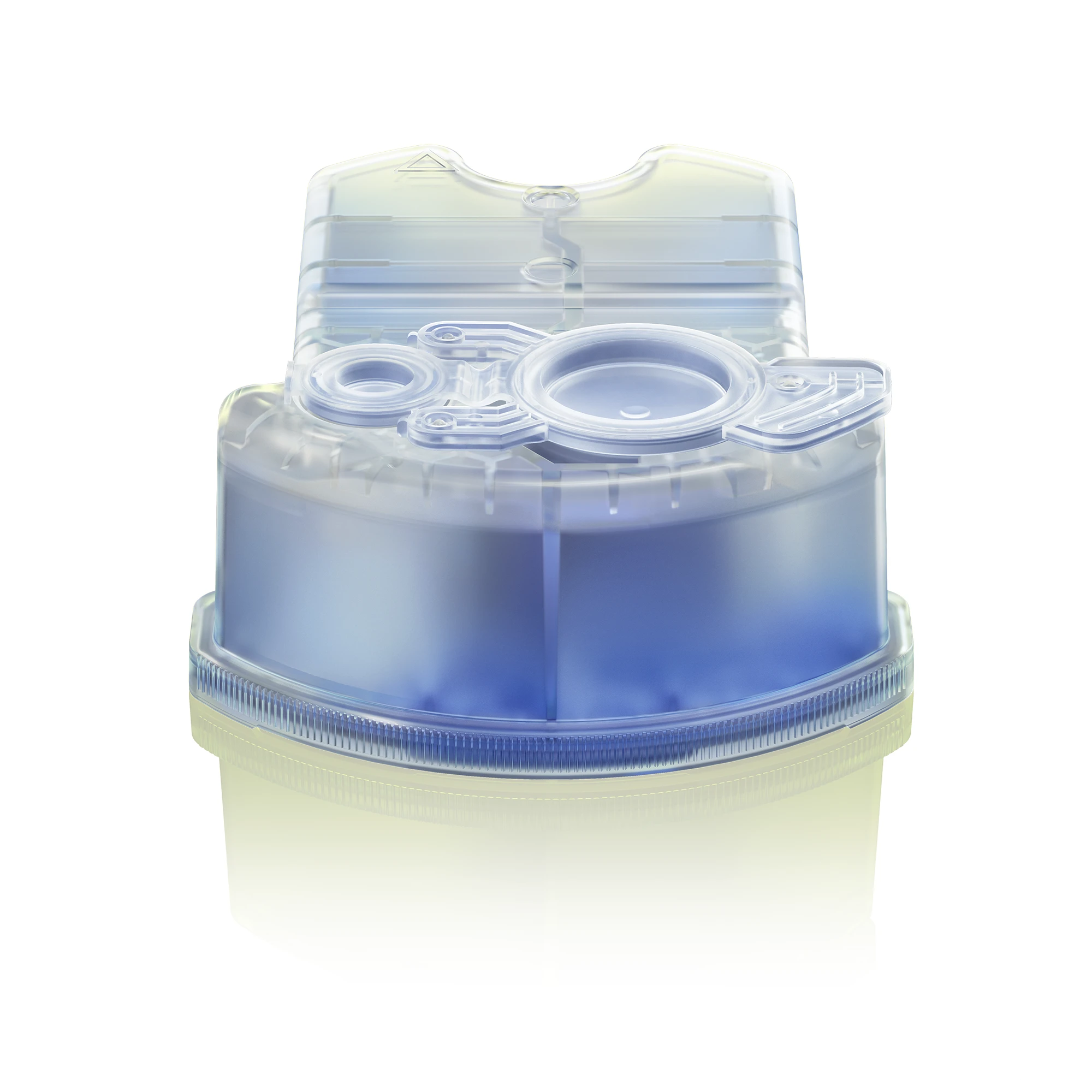 Braun CCR4