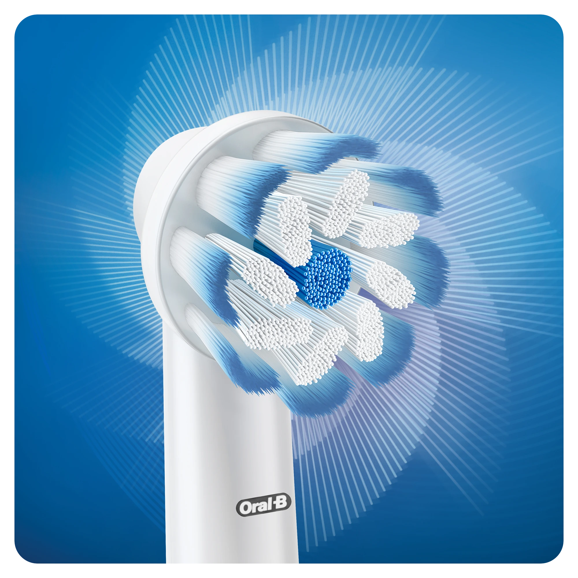EB60-8 Braun Oral-B SENSITIVE Labai labai plonas Elektrinio Dantų Šepetėlio Galvutės
