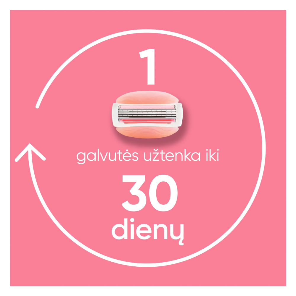 Gillette Venus ComfortGlide Spa Breeze Skustuvas + Galvutės 4 vnt aprašymas - Prekės nuotrauka