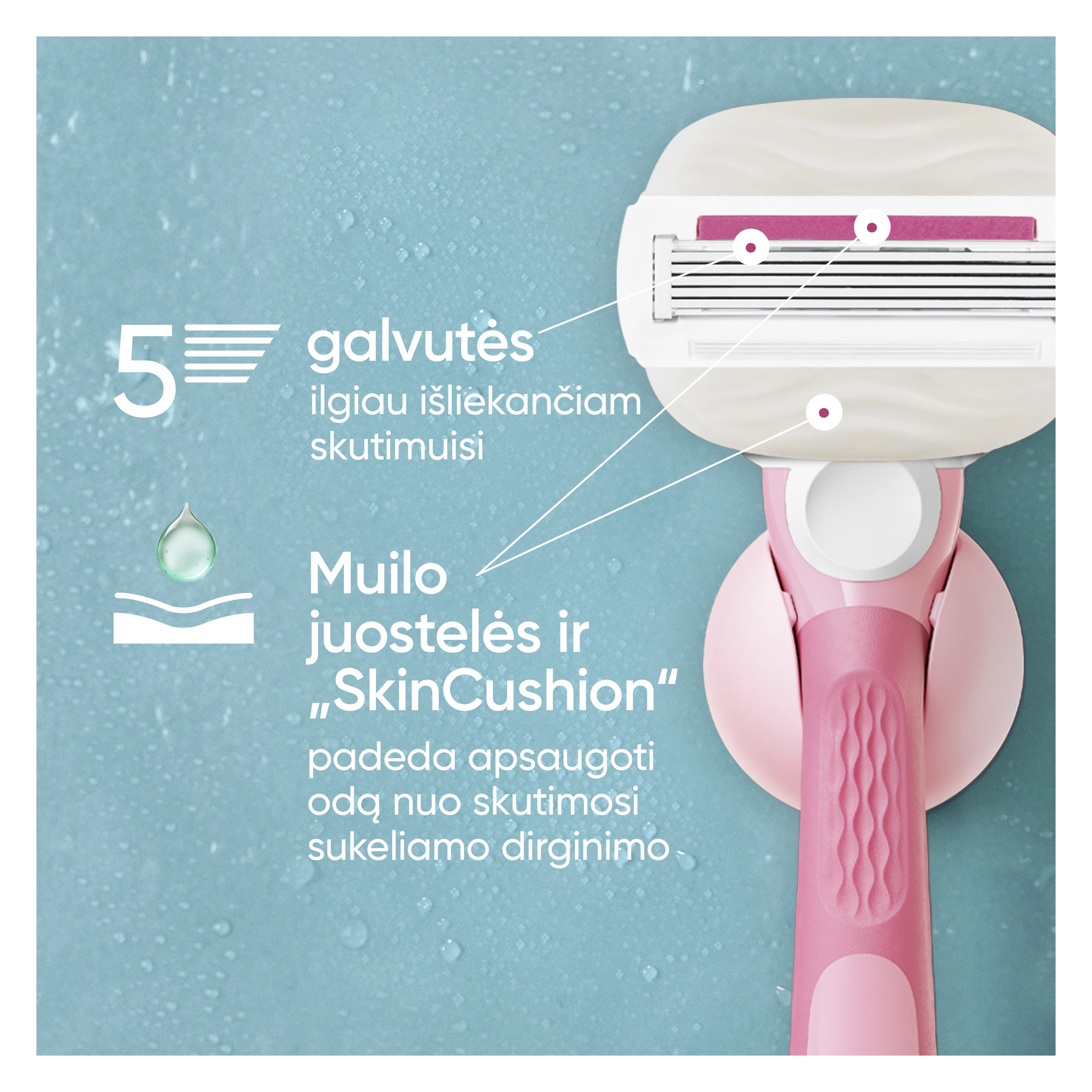 Gillette Venus ComfortGlide Sugarberry Miami Skustuvo Galvutės, 3 vnt. aprašymas - Prekės nuotrauka
