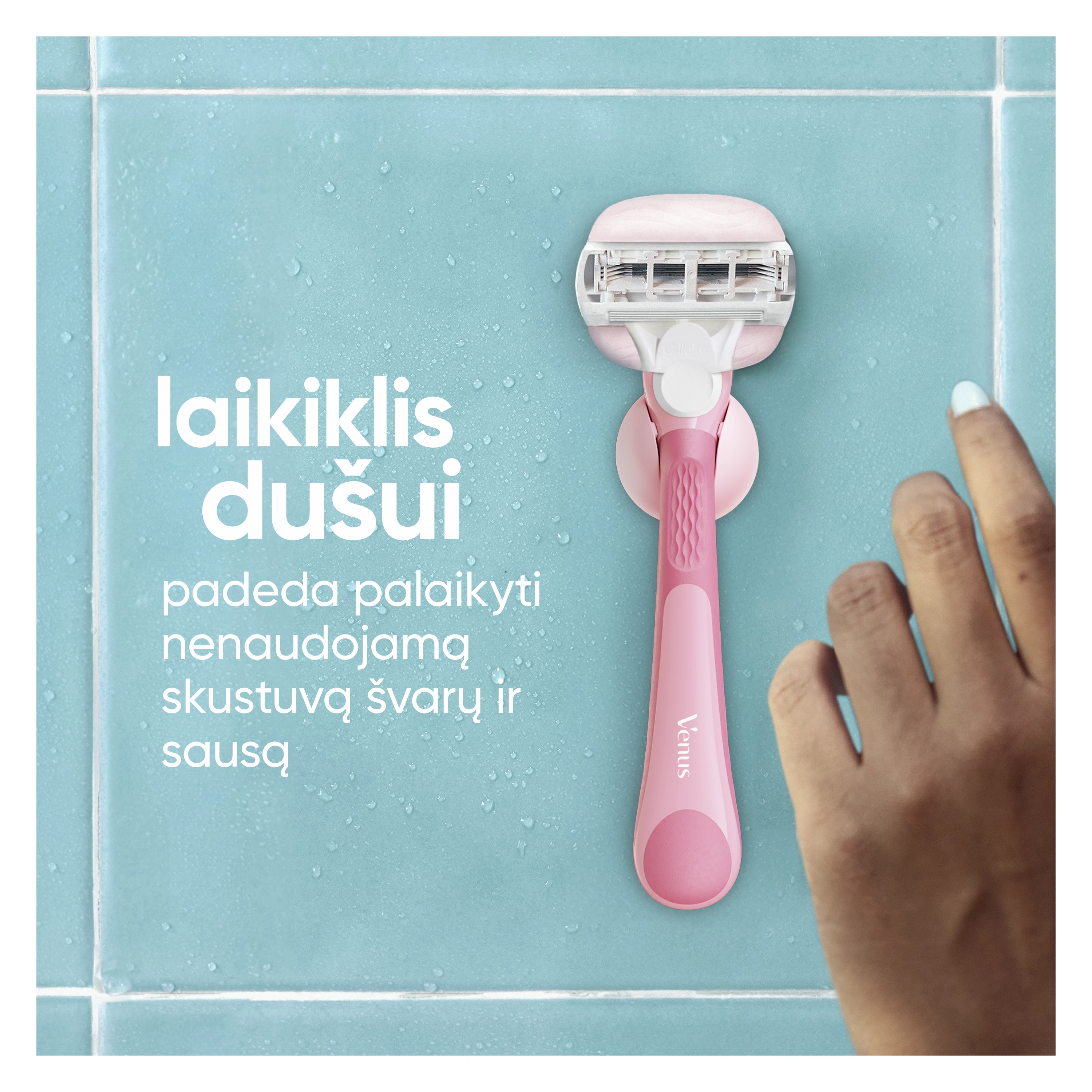 Gillette Venus ComfortGlide Sugarberry Miami Skustuvo Galvutės, 3 vnt. aprašymas - Prekės nuotrauka