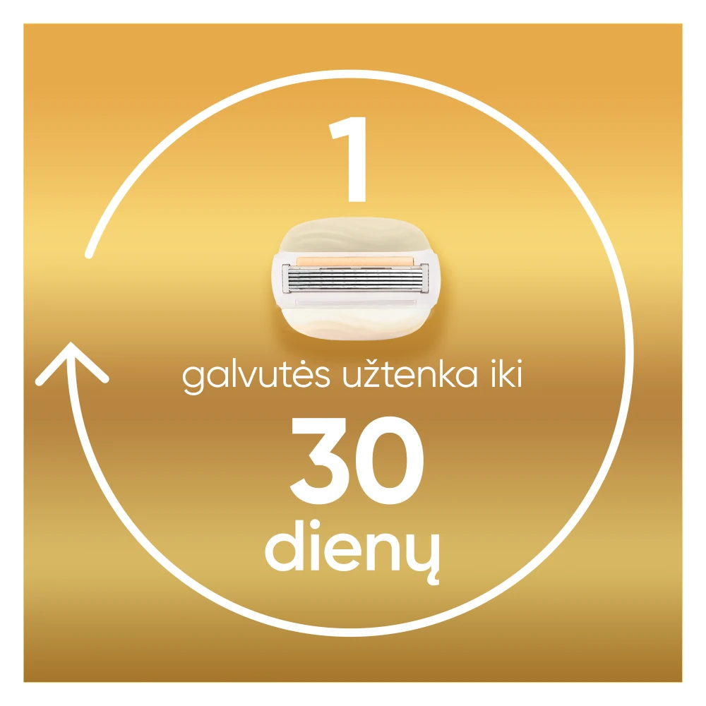 Gillette Venus ComfortGlow Argan Oil Skustuvas, 1 Keičiamos Skustuvo Galvutės, Sieninis Laikiklis aprašymas - Prekės nuotrauka