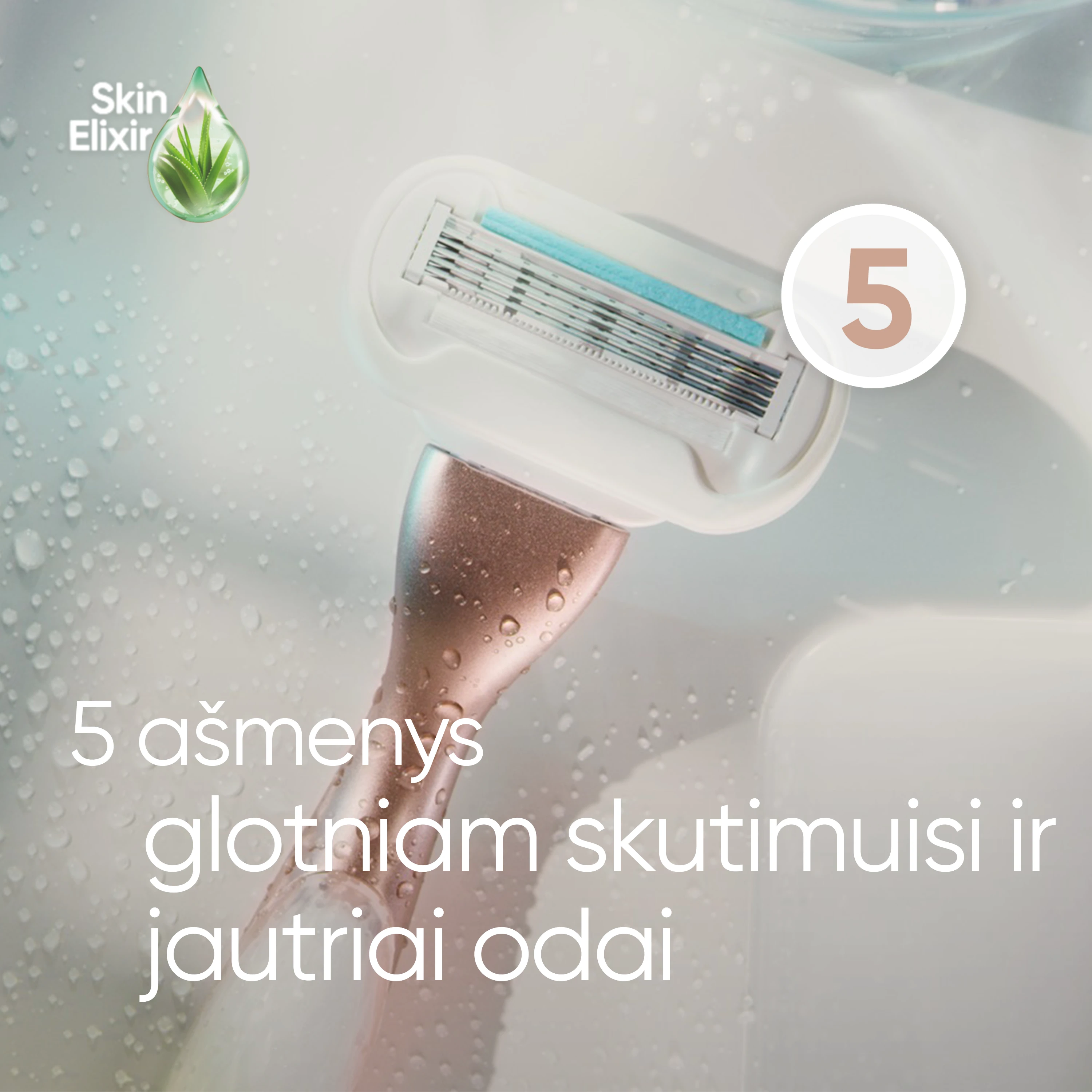Skustuvo moterims Gillette Venus Deluxe Smooth Sensitive keičiamos galvutės, 10 vnt. aprašymas - Prekės nuotrauka