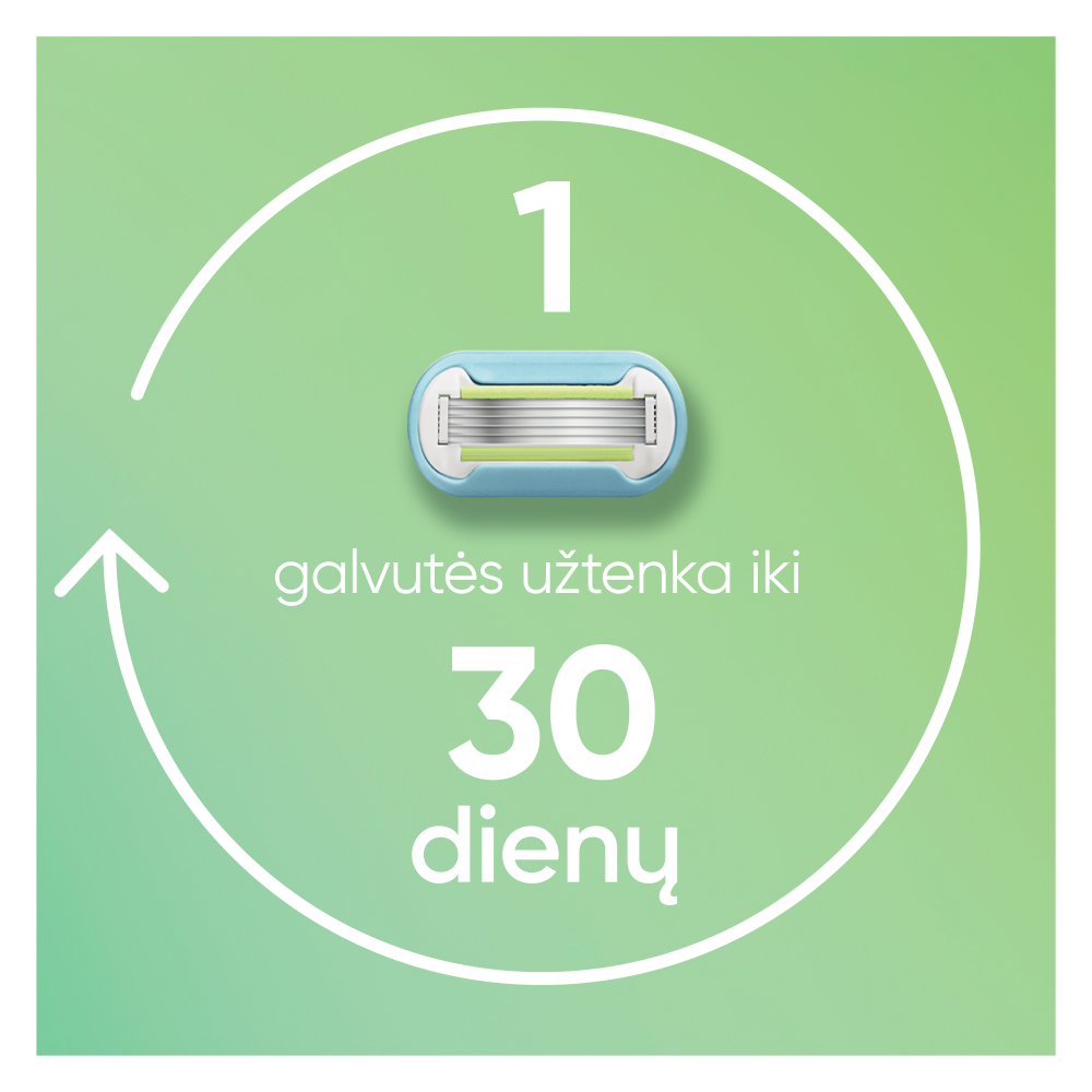 Gillette Venus Extra Smooth Skustuvas, 4 Keičiamos Skustuvo Galvutės, Sieninis Laikiklis aprašymas - Prekės nuotrauka