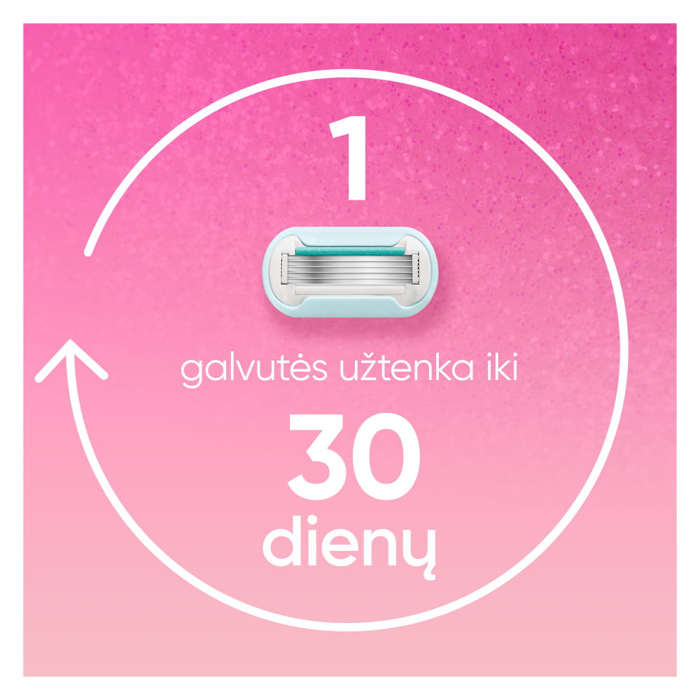Gillette Venus Party Edition Skustuvo Keičiamos Galvutės, 3 vnt. aprašymas - Prekės nuotrauka