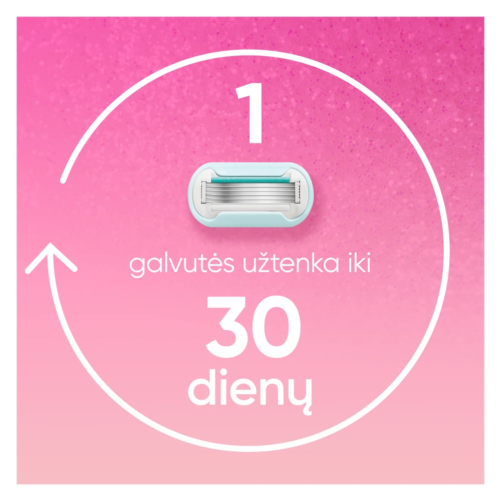 Gillette Venus Party Edition Skustuvo Keičiamos Galvutės, 6 vnt. aprašymas - Prekės nuotrauka