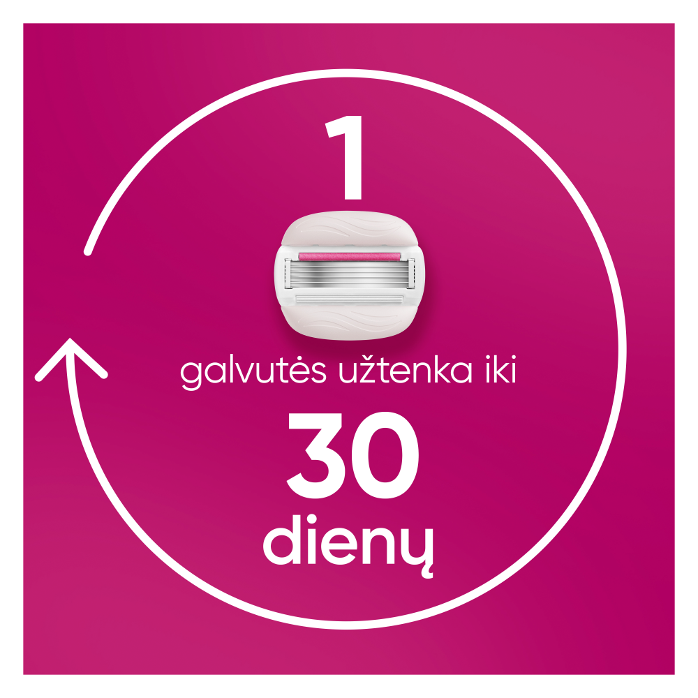 Gillette Venus Pro Comfortglide Sugarberry 6 Keičiamos Skustuvo Galvutės, Peiliukų Laikiklis aprašymas - Prekės nuotrauka