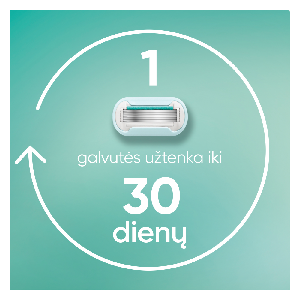 Gillette Venus Pro Smooth Sensitive Skustuvas, 6 Keičiamos Skustuvo Galvutės, Sieninis Laikiklis, Peiliukų Laikiklis aprašymas - Prekės nuotrauka