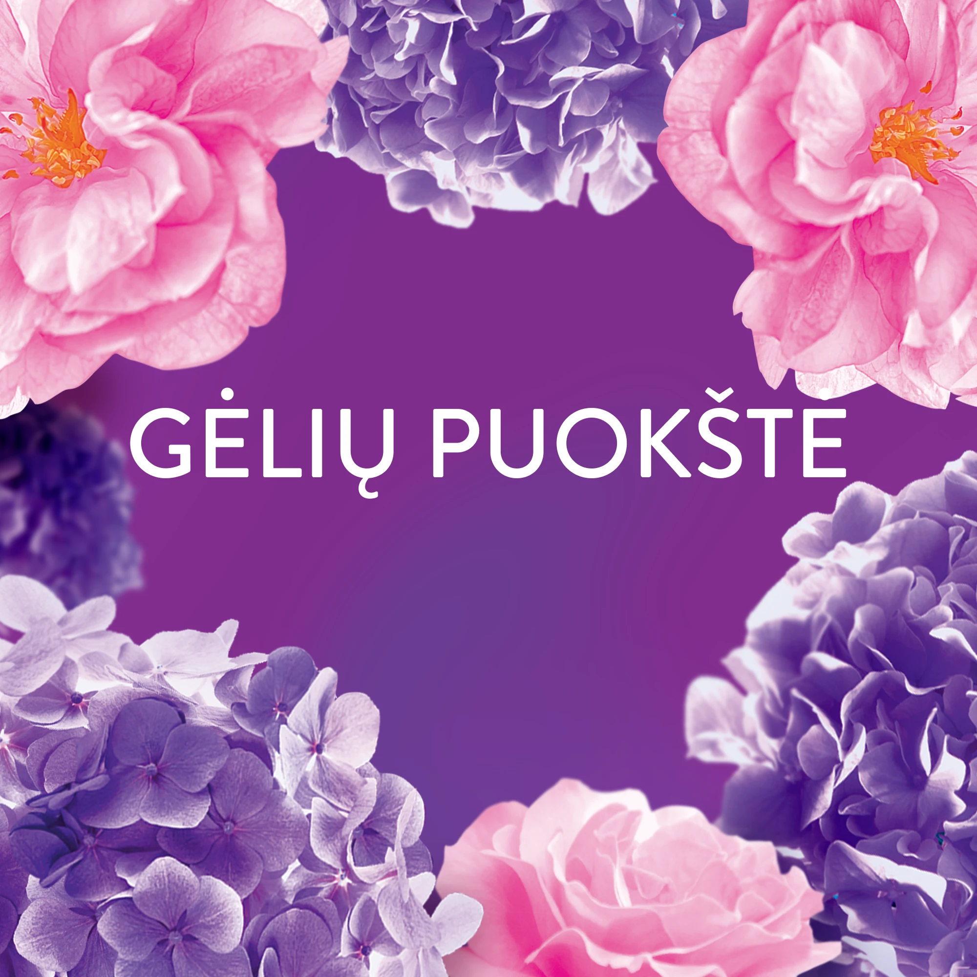 LENOR Audinių minkštiklis 