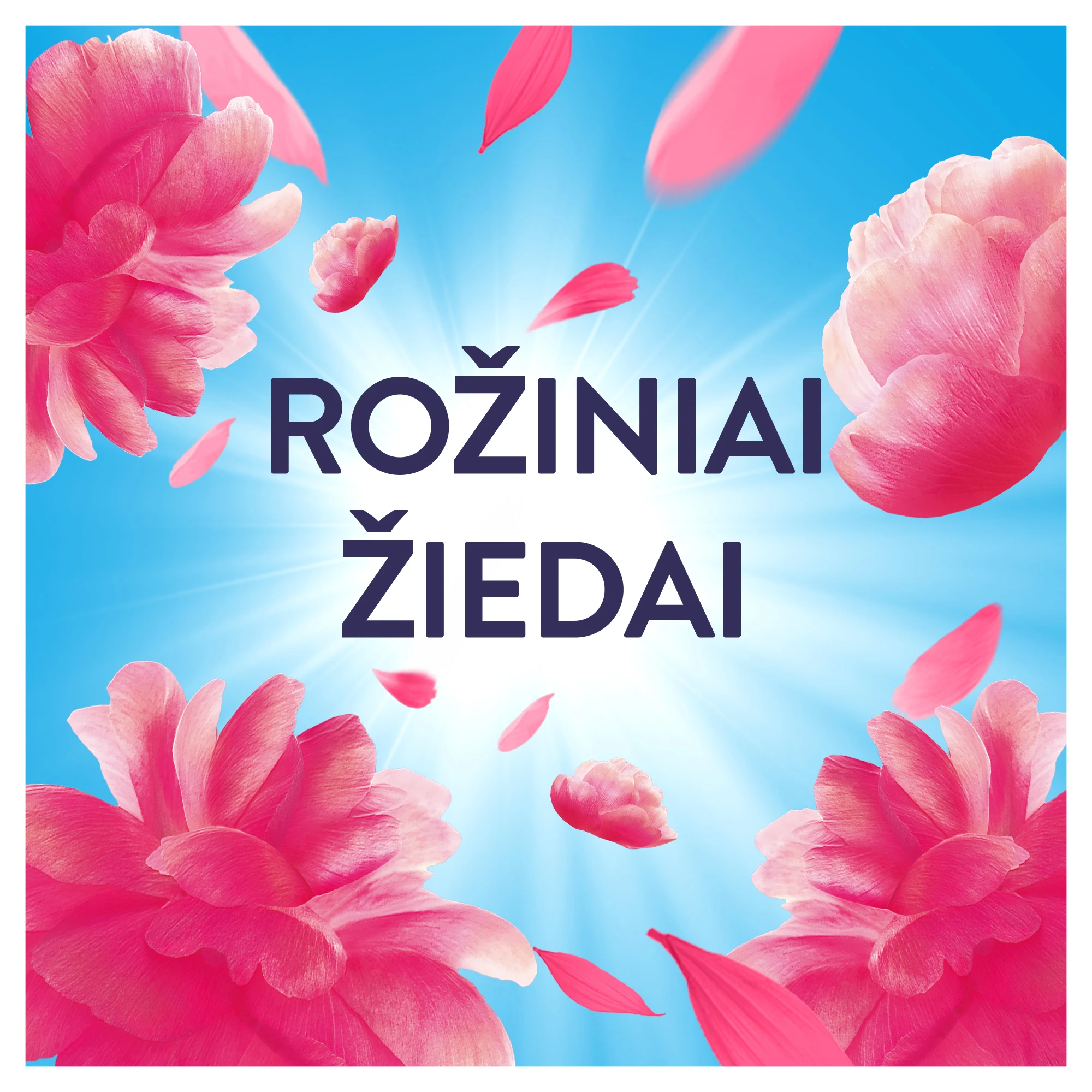 Audinių minkštiklis Lenor Rožinė Blossom 1,204 l (86 skalbimai) aprašymas - Prekės nuotrauka