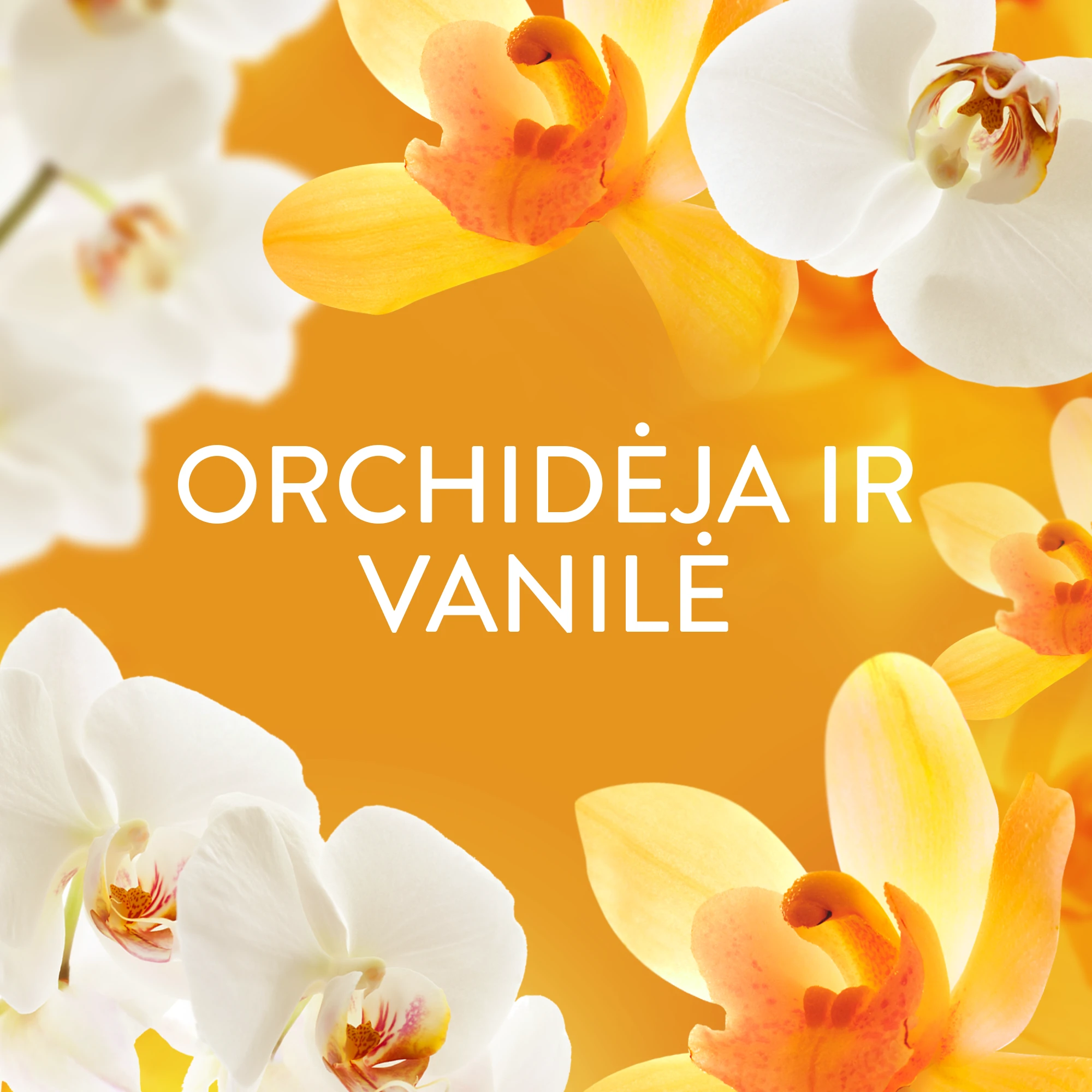 LENOR audinių minkštiklis Gold Orchid & Vanilla 2 x 987 ml (94 Skalbimai) aprašymas - Prekės nuotrauka