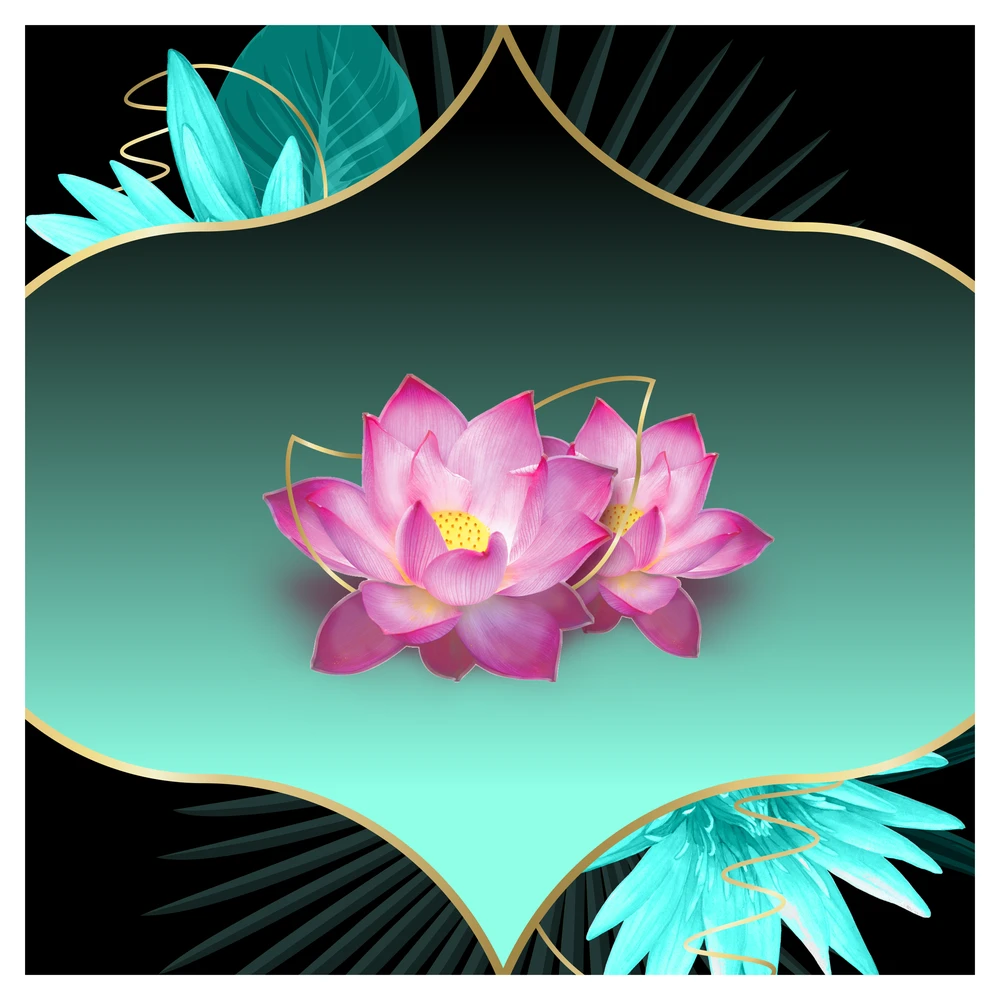 Discreet Protective Waterlily Plus Higieniniai Įklotai, 52 vnt.